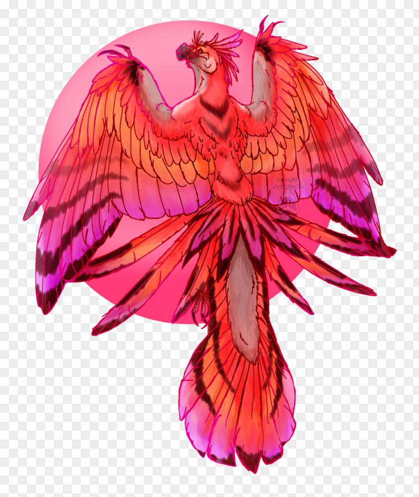 Feather Magenta Beak PNG
