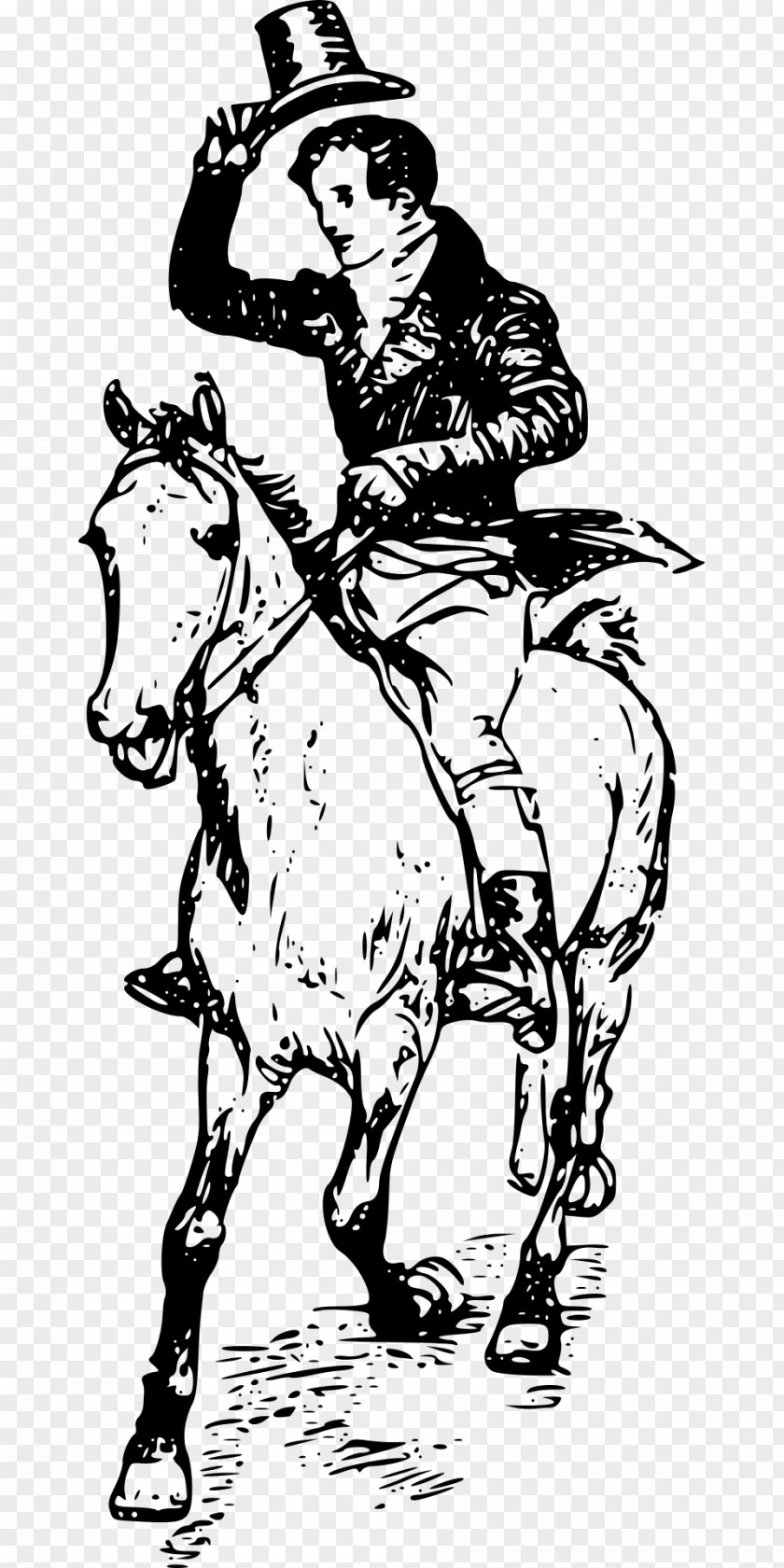 Rider Horse Drawing Clip Art PNG