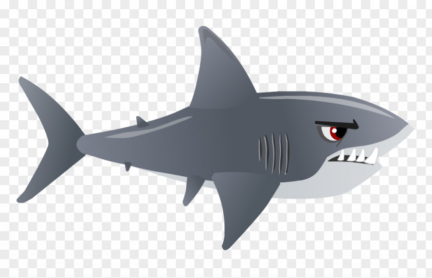 Shark Clipart Clip Art PNG