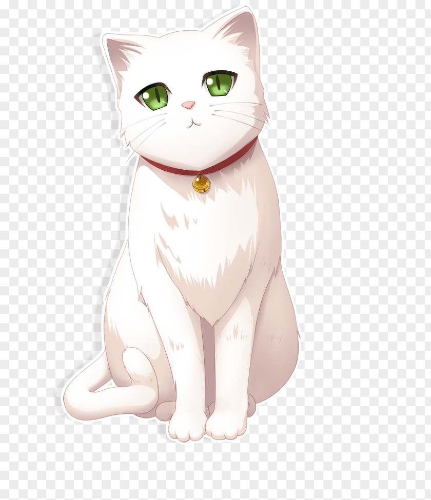 Cat Kitten Image Clip Art PNG
