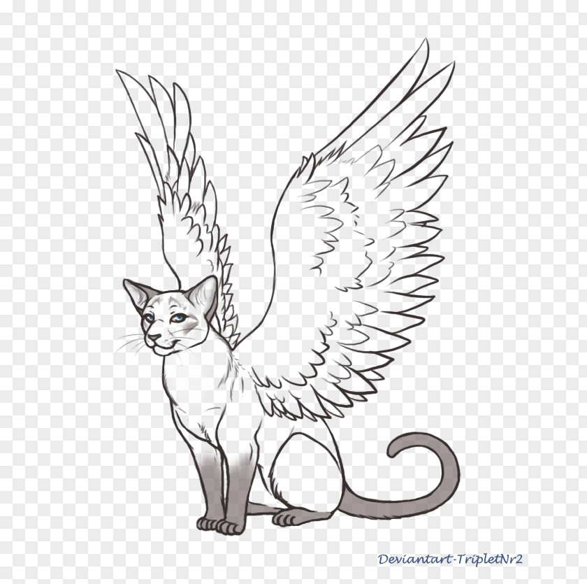 Cat Whiskers Sketch Tabby Wing PNG