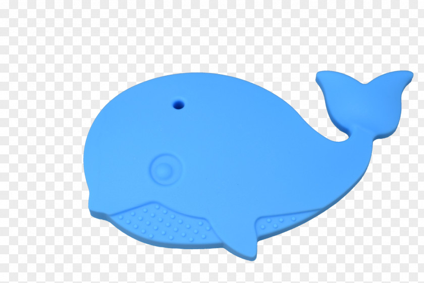 Dolphin Cetacea Deep Sky Blue Marine Biology PNG