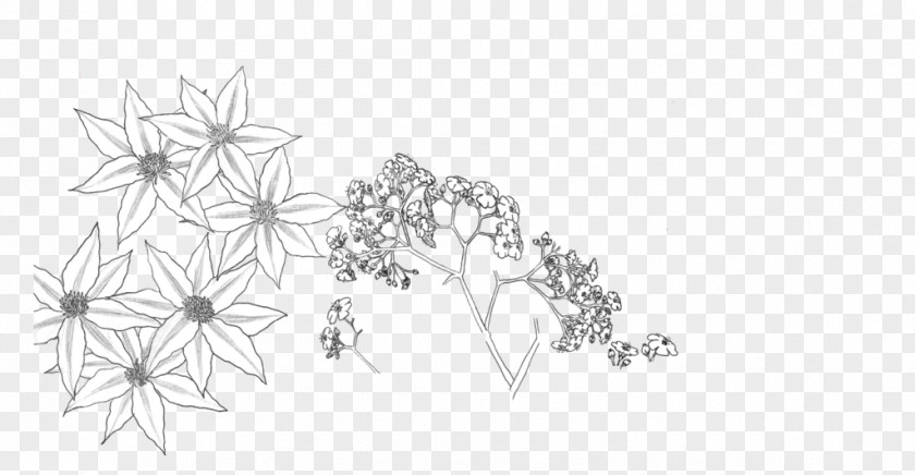 Flower Drawing Line Art Black And White PNG