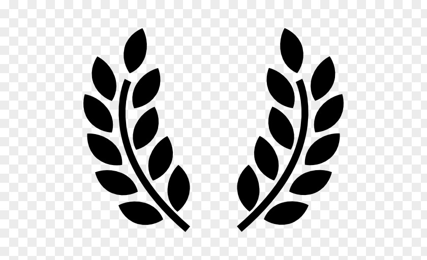 Symbol Olive Branch Peace Symbols PNG