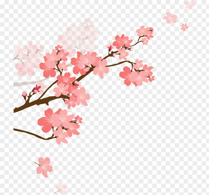Capricorn Cherry Blossom Zodiac Woman PNG blossom Woman, capricorn clipart PNG
