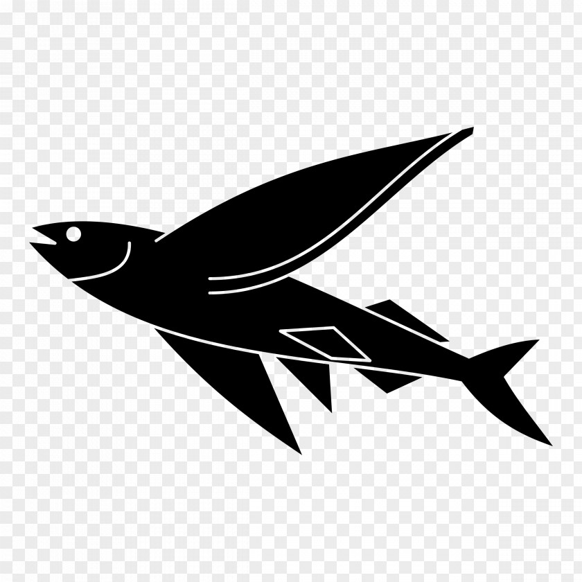 Fishing Pole Flying Fish Drawing Clip Art PNG