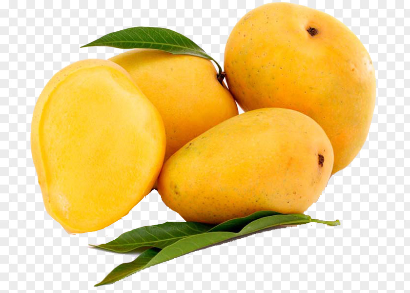 Mango Devgad Taluka Alphonso Mangifera Indica Fruit PNG