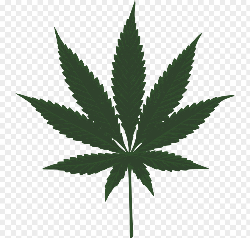 Cannabis Medical Hemp Leaf Clip Art PNG