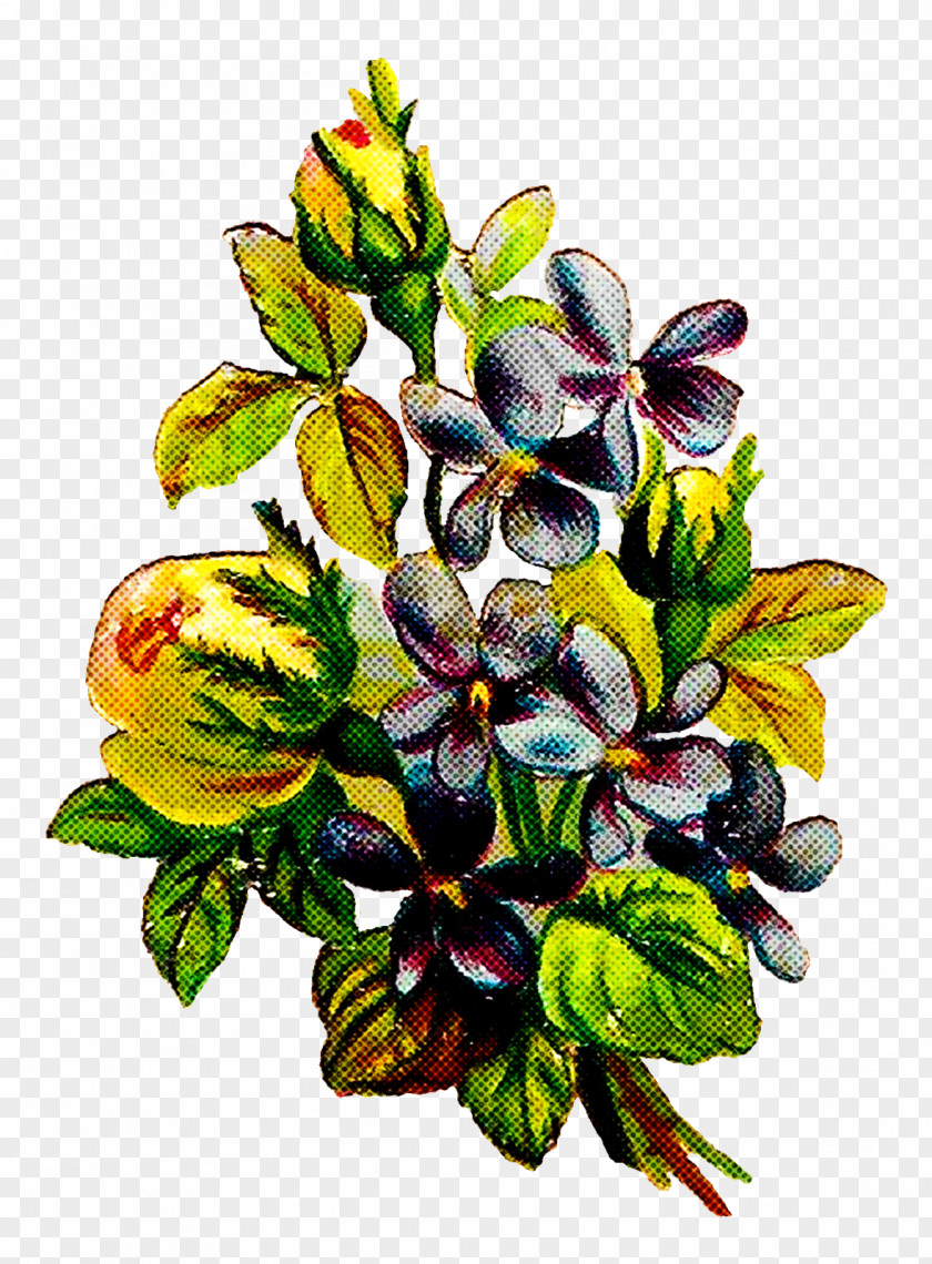 Flower Plant Leaf Anthurium Pattern PNG