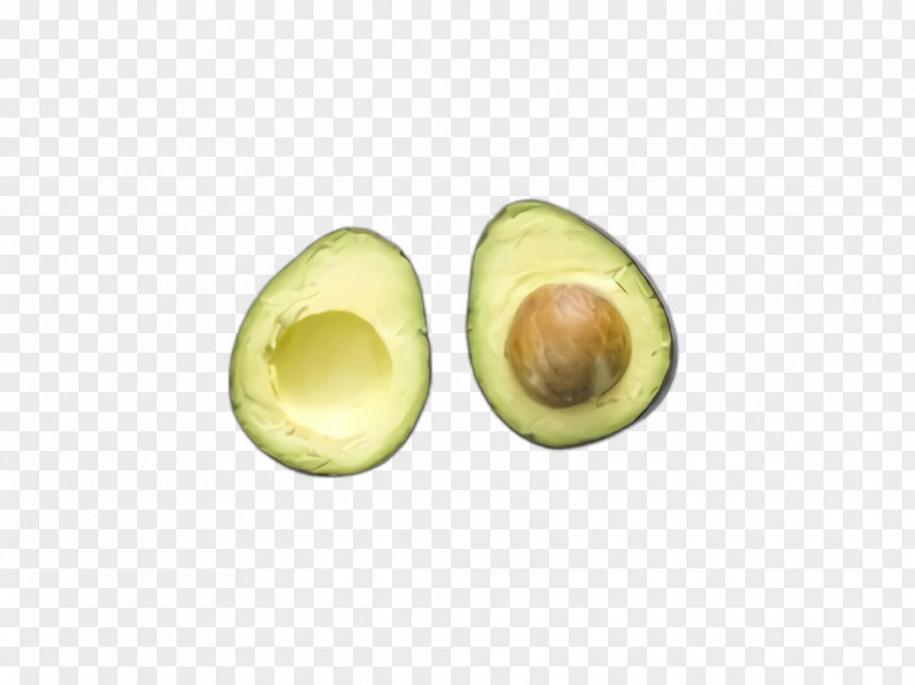 Food Tree Avocado PNG