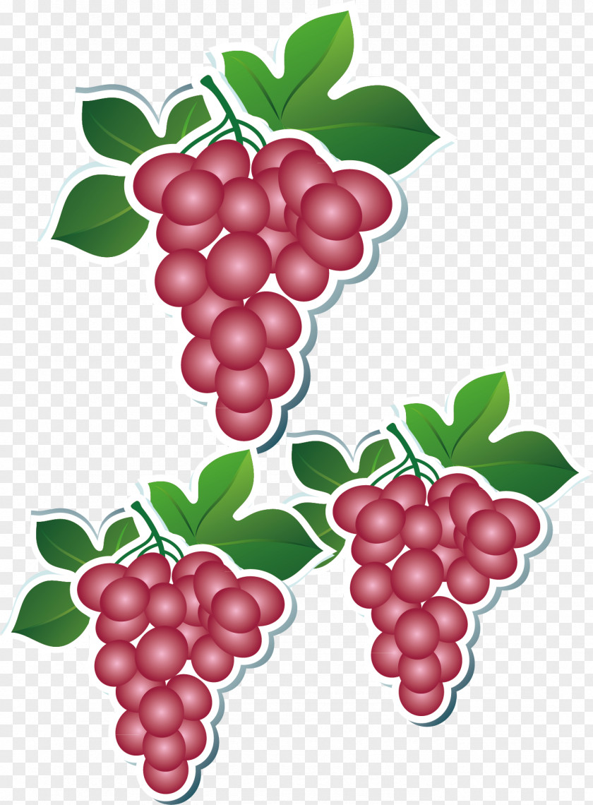 Grapes Label Auglis Cartoon Apple Food PNG