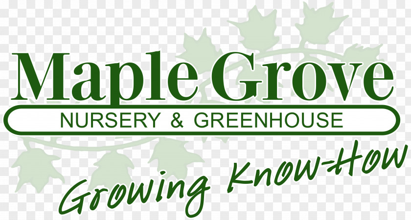 Grove Tree Nursery Maple Soil Plant PNG