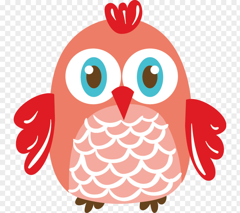 Owl Bird Illustration PNG