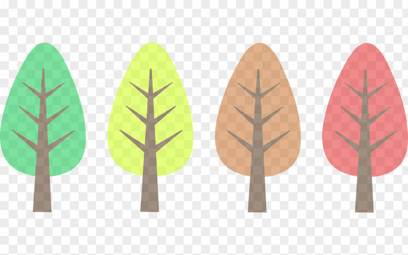 Pine Family Leaf Tree Plant White PNG