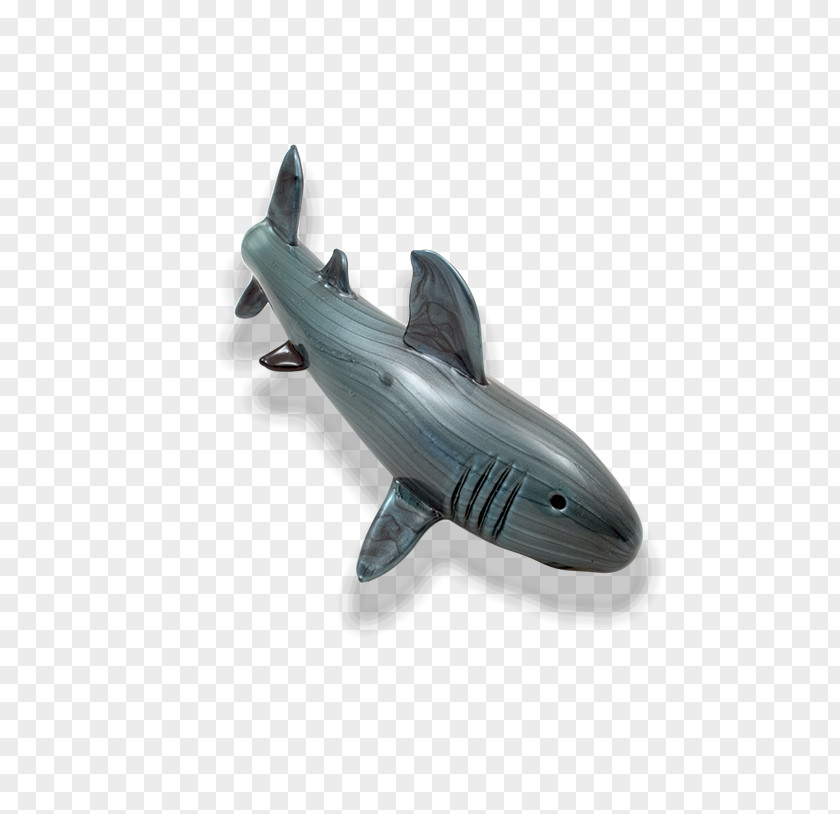 Shark Attack Requiem Sharks Squaliform PNG