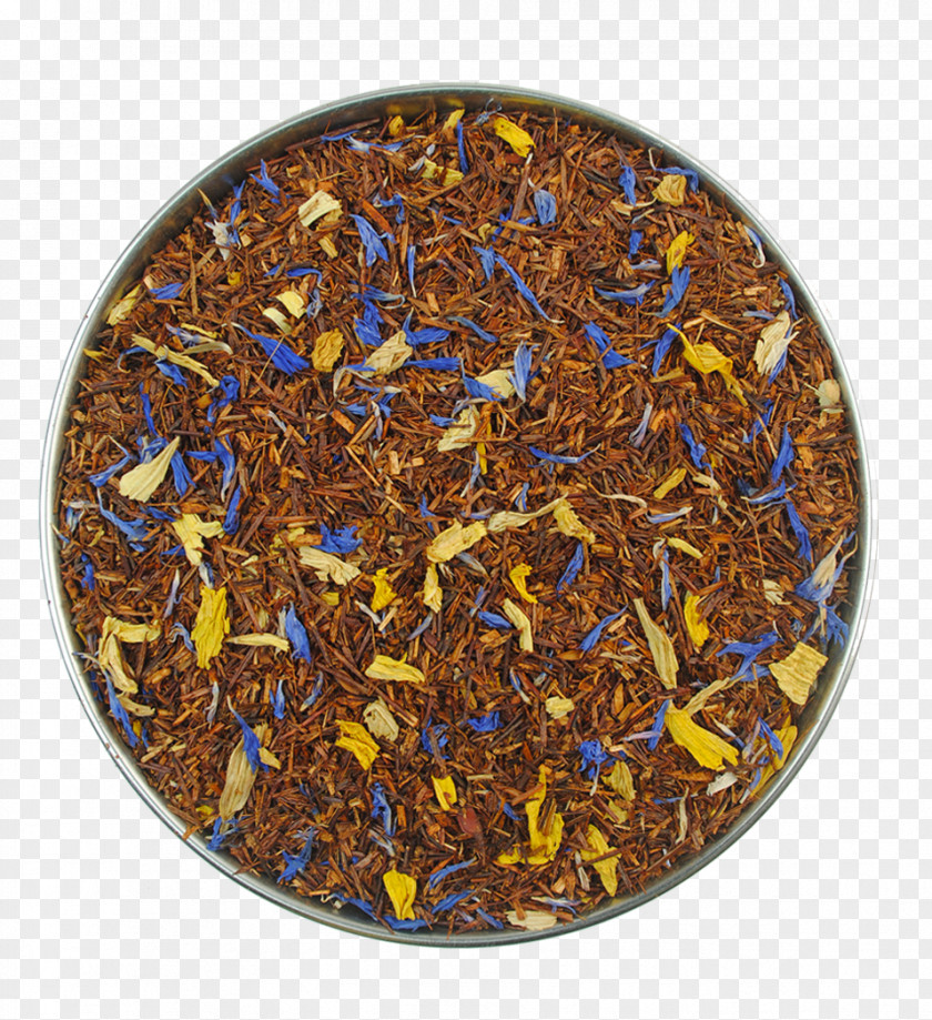 Tea Bag Rooibos Cyclopia Sencha PNG