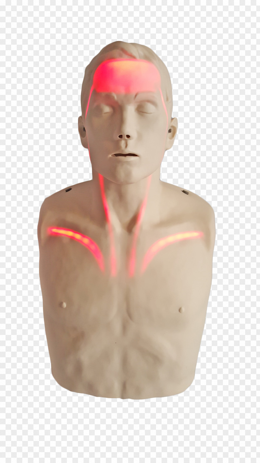 Light Cardiopulmonary Resuscitation Mannequin Transparent Anatomical Manikin PNG