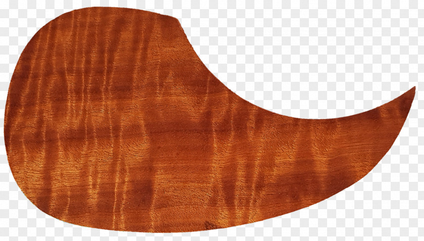 Wood Stain Guitar Varnish /m/083vt PNG