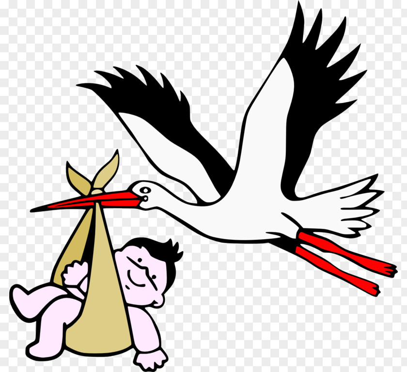 Baby Stork Images United States Child Birth Family Gynaecology PNG