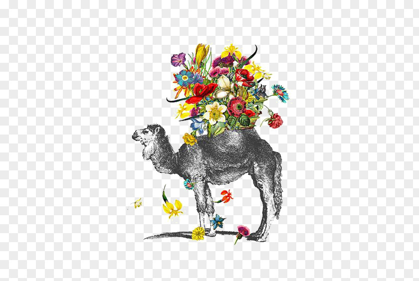 Camel Bactrian Drawing Watercolor Painting PNG