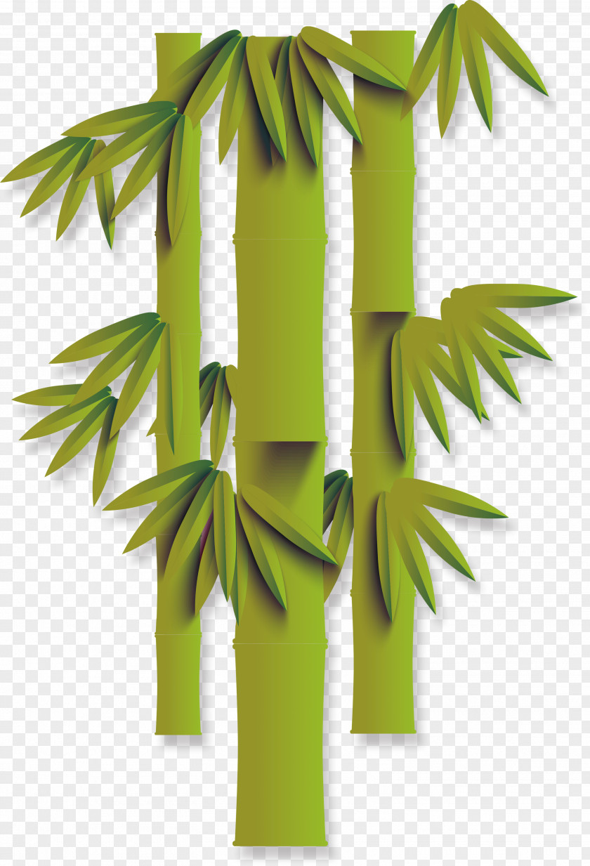 Chinese Bamboo Wind Art PNG