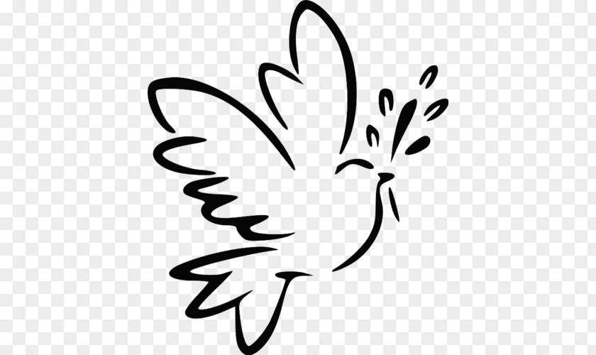 Dove Bird Doves As Symbols Peace Columbidae Image PNG