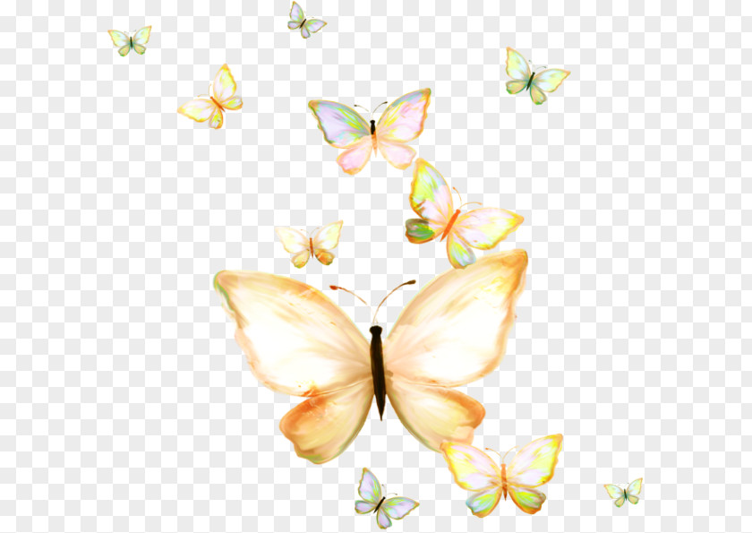 Fresh Group Hand-painted Butterfly Papillon Dog Nymphalidae Clip Art PNG