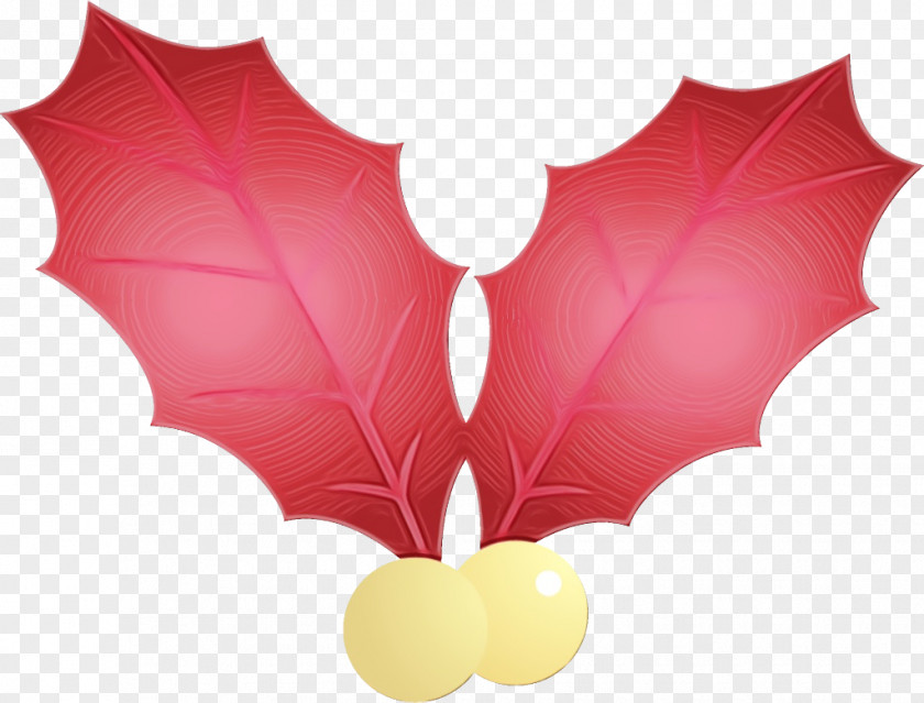 Holly Petal PNG