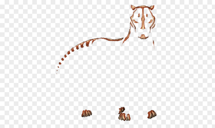 Painted Lion Cat Mammal Whiskers Carnivora Dog PNG