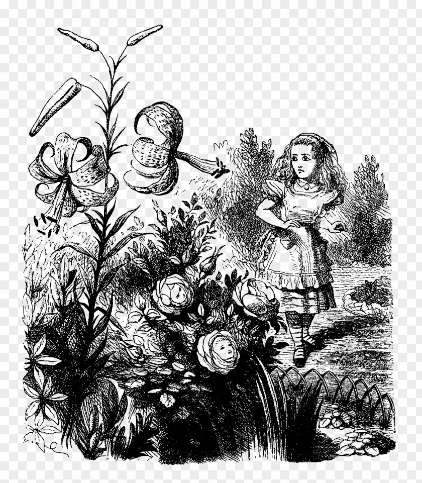 Wonderland Through The Looking-Glass, And What Alice Found There Alice's Adventures In Annotated Tweedledum PNG