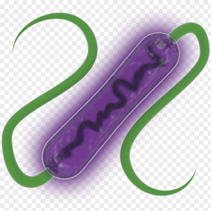 Bacteria Evolution Resource Matter PNG