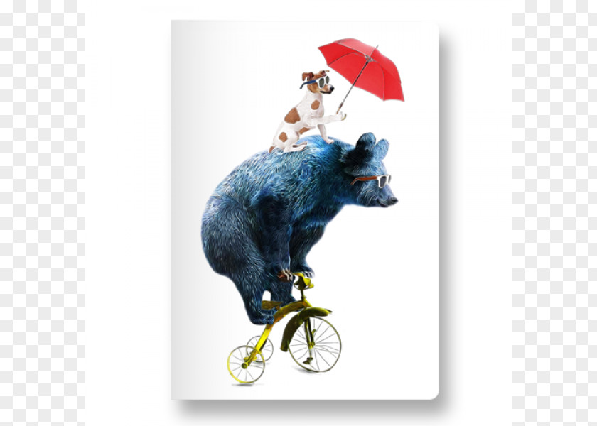 Bear Canvas Print Bicycle Cycling PNG