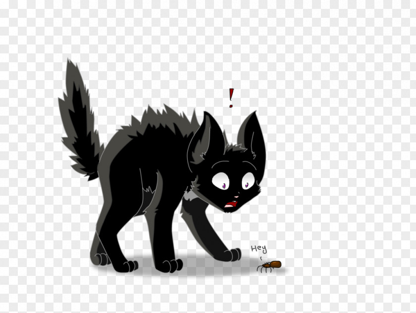 Cat Warriors: The New Prophecy Kitten Ravenpaw PNG