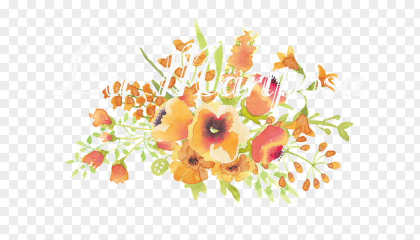 Flower Floral Design Bouquet Clip Art PNG