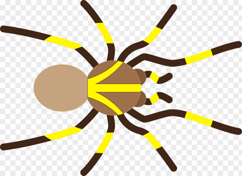 Insect Yellow Line PNG