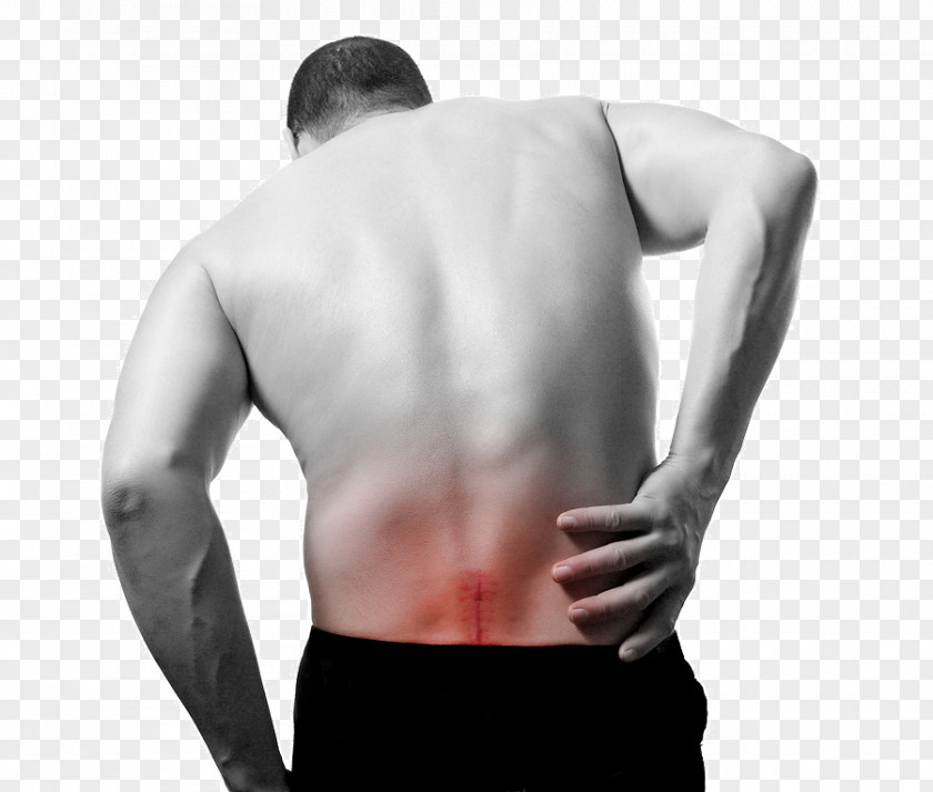 Physical Therapy Low Back Pain Chiropractic Human PNG