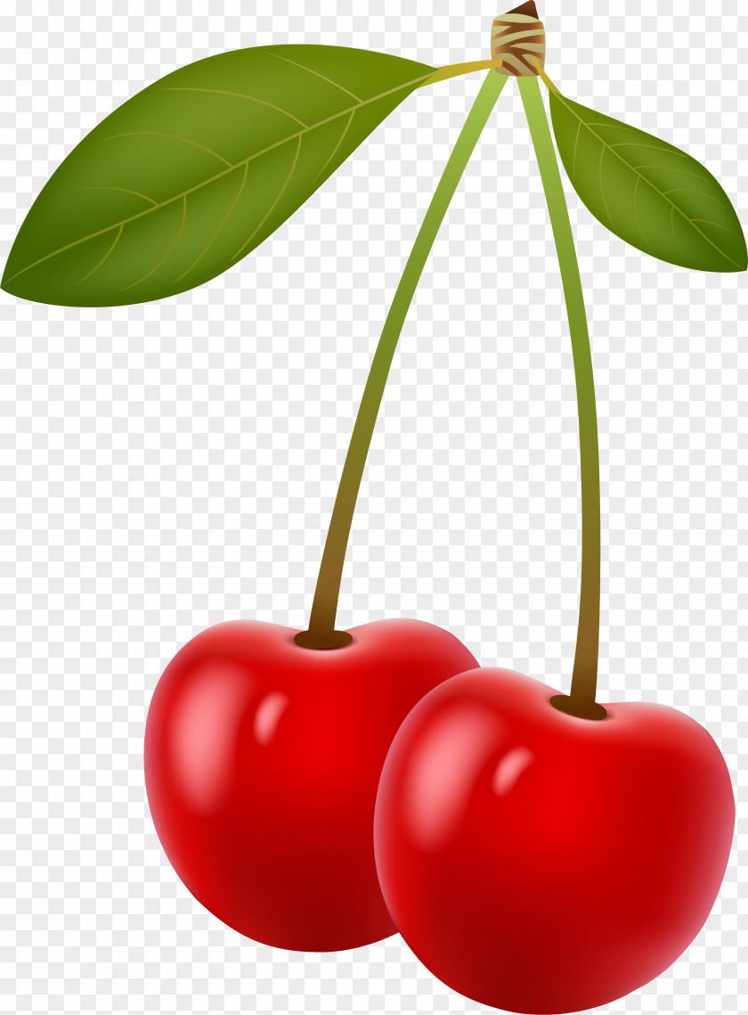 Red Fresh Sweet Cherry Berry Clip Art PNG