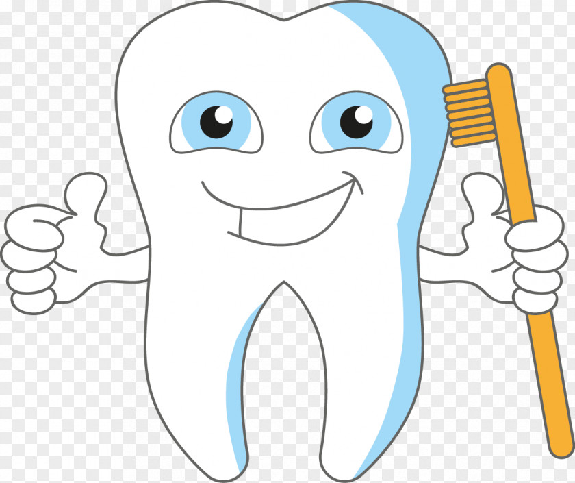 Vector Hand-drawn Cartoon Teeth Holding A Toothbrush Dentistry PNG