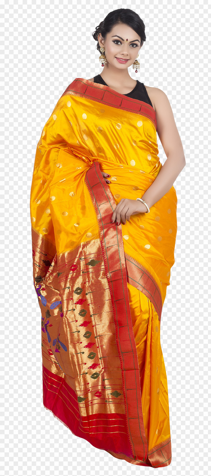 Wedding Saree Sari PNG