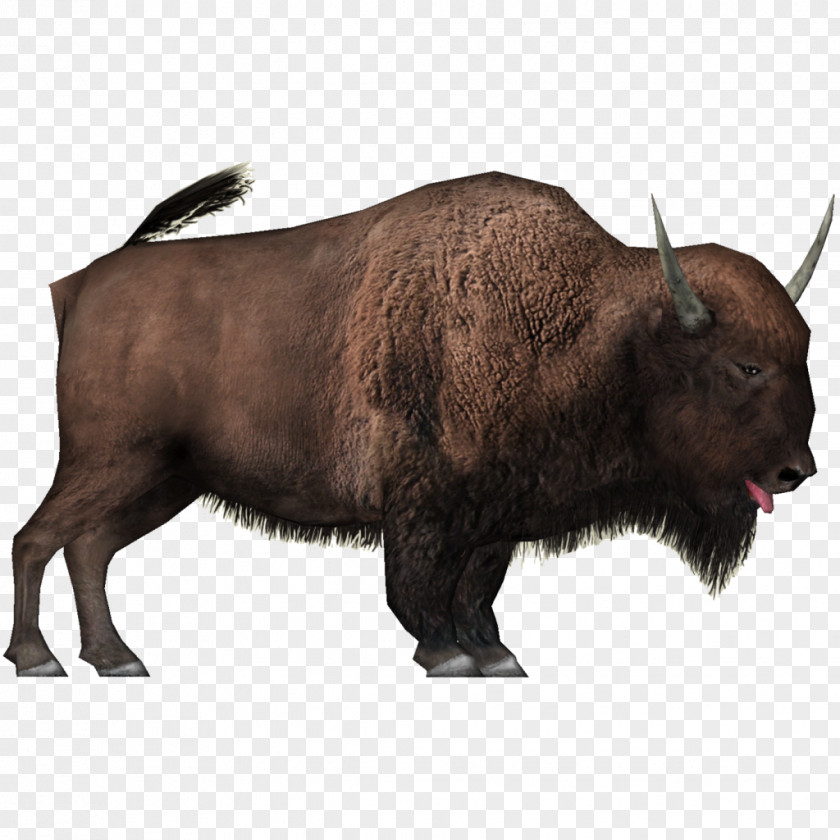 Bison Transparent Zoo Tycoon 2 Latifrons American Domestic Yak Bonasus PNG