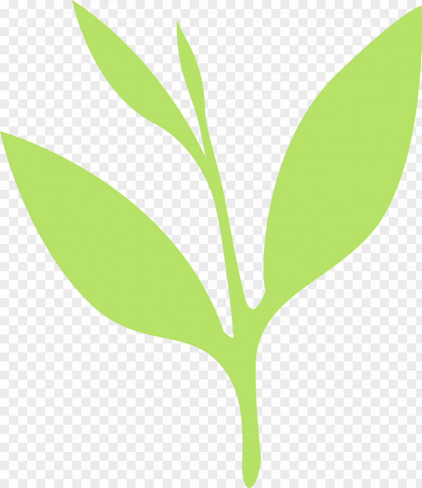 Leaf Green Plant Flower Stem PNG