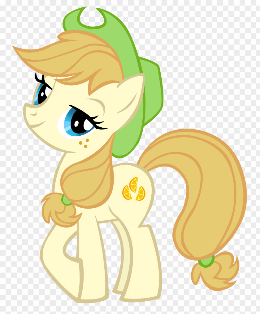 My Little Pony Applejack Twilight Sparkle Pinkie Pie Fluttershy PNG