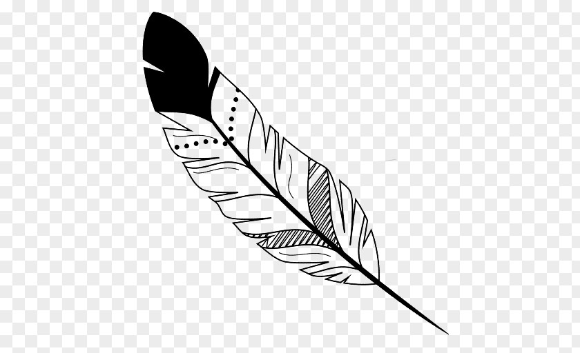 Sparrow In Love Angela's Ashes Feather Amazon.com Clip Art PNG