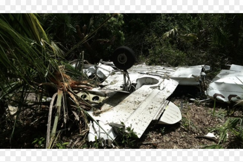 Airplane Marineland Aircraft Aviation Accidents And Incidents National Transportation Safety Board PNG