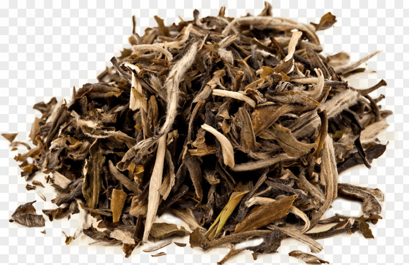 Bai Mudan White Tea Baihao Yinzhen Darjeeling PNG