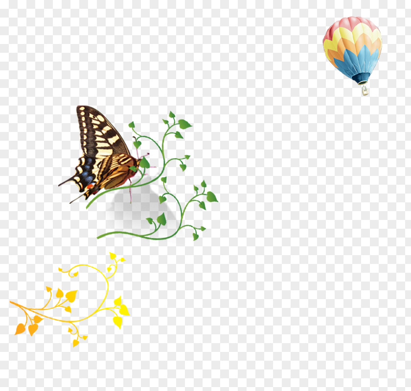 Butterfly Download PNG