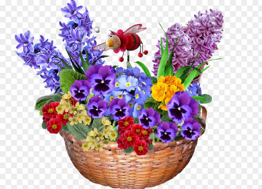 Flower Floral Design Cut Flowers Besuch Auf Dem Bauernhof Flowerpot PNG