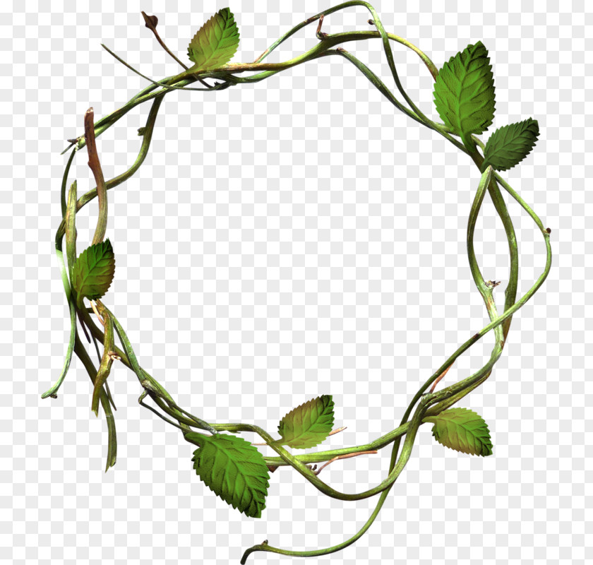 Green Leaves Grass Circle Clip Art PNG