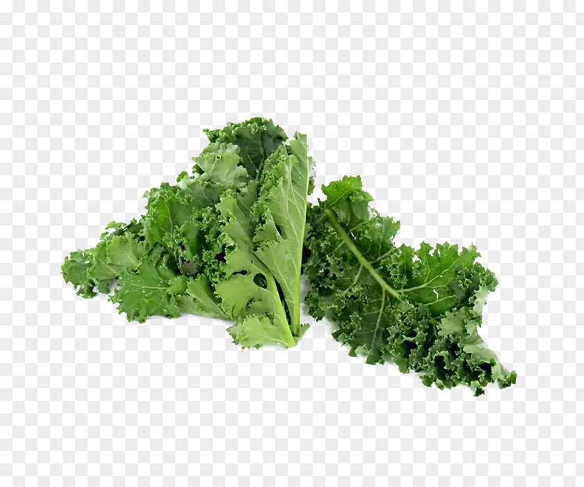Kale Romaine Lettuce Broccoli Vegetable Vegetarian Cuisine PNG