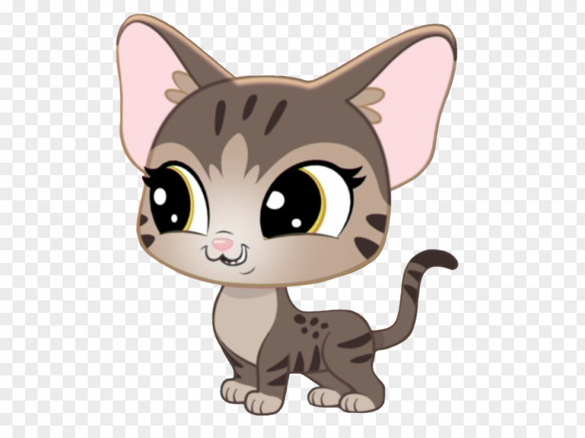 Kitten Tabby Cat Whiskers Vector Graphics PNG